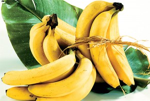 banany_--svazane450.jpg