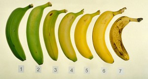 rust-bananu.jpg